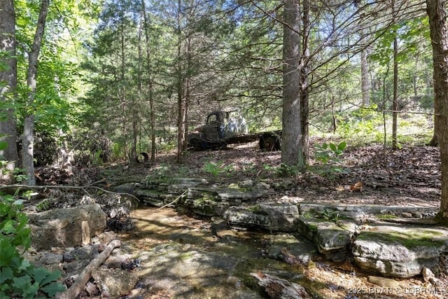 2951 State Road Z, Climax Springs, MO 65324 - photo 40