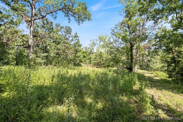 2951 State Road Z, Climax Springs, MO 65324 - photo 42