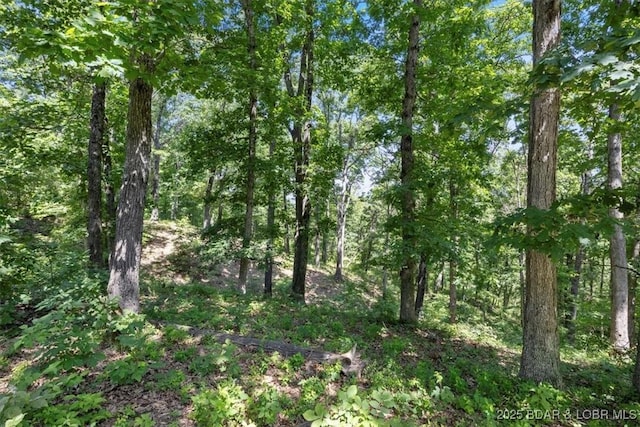 2951 State Road Z, Climax Springs, MO 65324 - photo 41