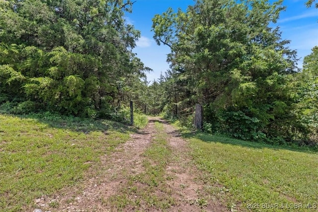2951 State Road Z, Climax Springs, MO 65324 - photo 39