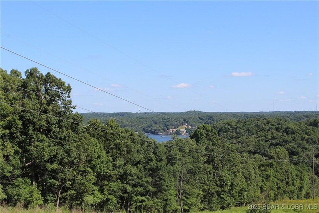 Twin Rivers Pt, Camdenton, MO 65020 - photo 2