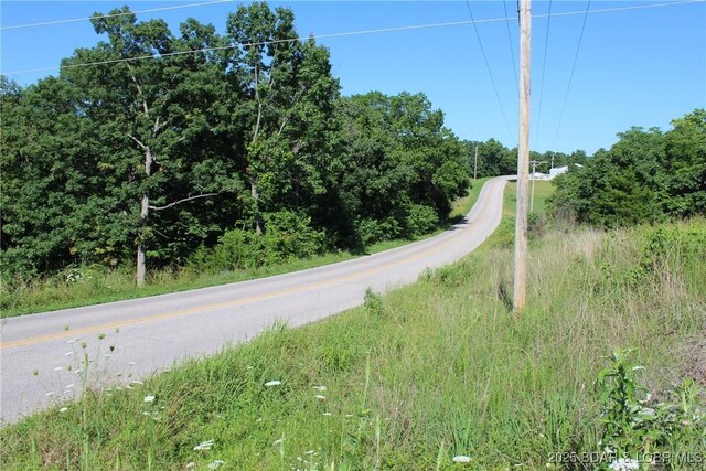 Twin Rivers Pt, Camdenton, MO 65020 - photo 4