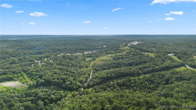 Twin Rivers Pt, Camdenton, MO 65020 - photo 9