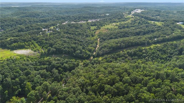 Twin Rivers Pt, Camdenton, MO 65020 - photo 10