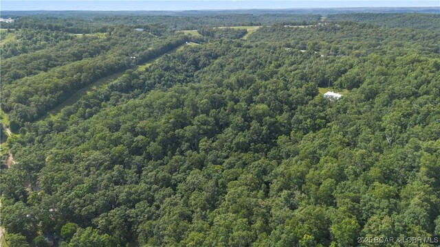 Twin Rivers Pt, Camdenton, MO 65020 - photo 12