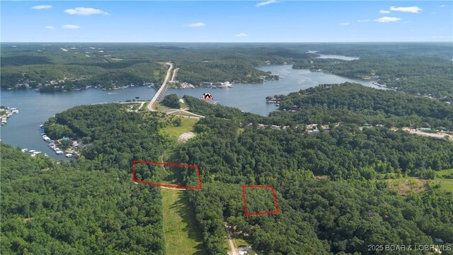 Twin Rivers Pt, Camdenton, MO 65020 - photo 16