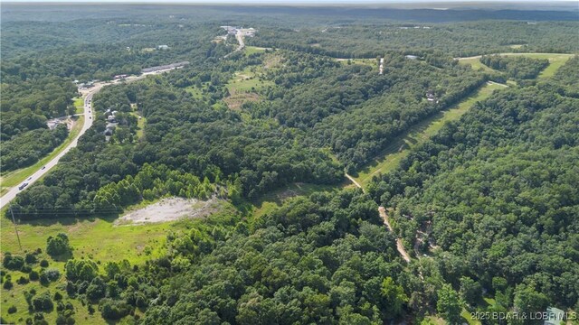 Twin Rivers Pt, Camdenton, MO 65020 - photo 17
