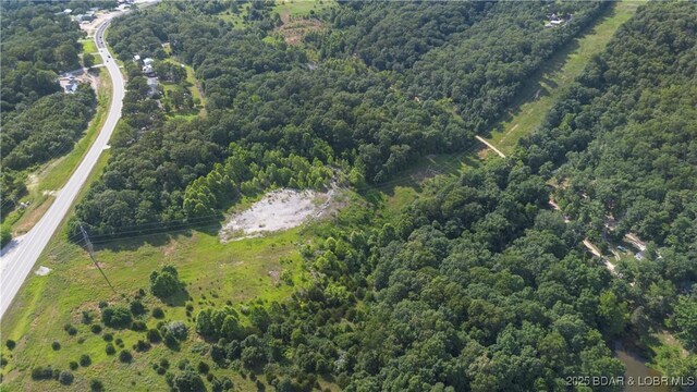 Twin Rivers Pt, Camdenton, MO 65020 - photo 18