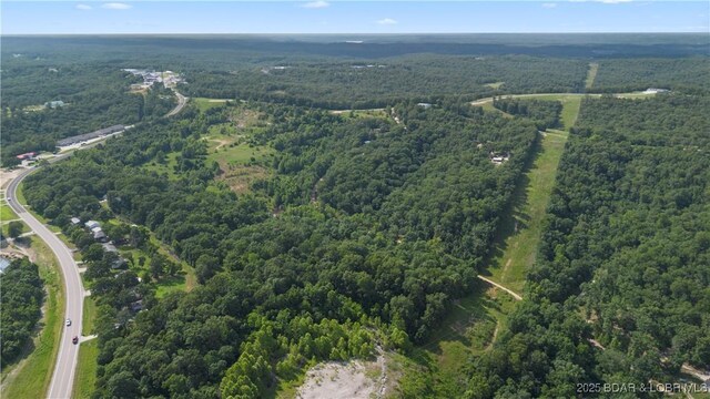 Twin Rivers Pt, Camdenton, MO 65020 - photo 19
