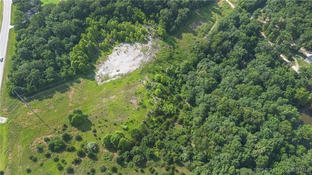 Twin Rivers Pt, Camdenton, MO 65020 - photo 20
