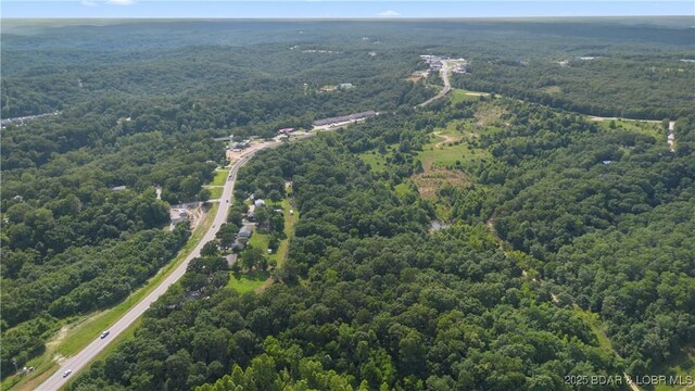 Twin Rivers Pt, Camdenton, MO 65020 - photo 21
