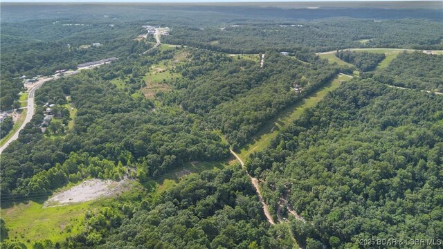 Twin Rivers Pt, Camdenton, MO 65020 - photo 22