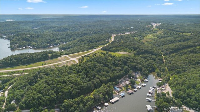 Twin Rivers Pt, Camdenton, MO 65020 - photo 23