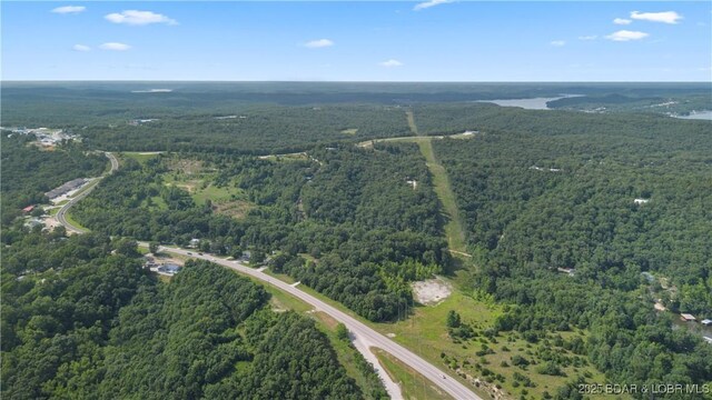 Twin Rivers Pt, Camdenton, MO 65020 - photo 26