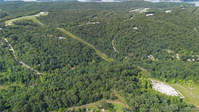Twin Rivers Pt, Camdenton, MO 65020 - photo 27