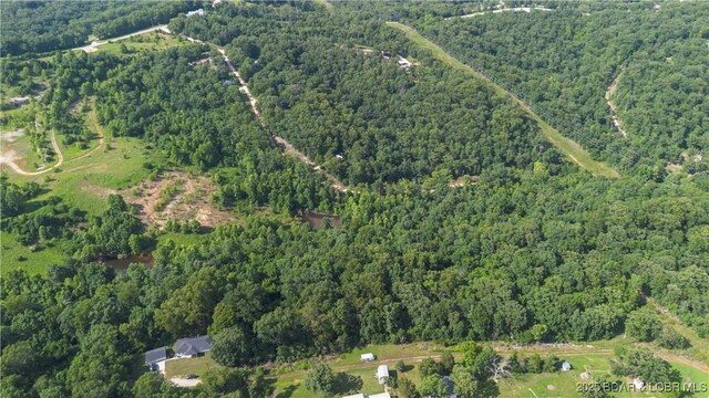Twin Rivers Pt, Camdenton, MO 65020 - photo 28