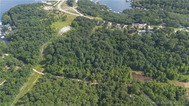 Twin Rivers Pt, Camdenton, MO 65020 - photo 29