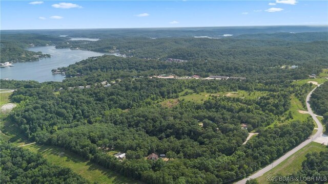 Twin Rivers Pt, Camdenton, MO 65020 - photo 30