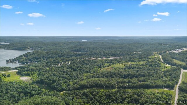 Twin Rivers Pt, Camdenton, MO 65020 - photo 31