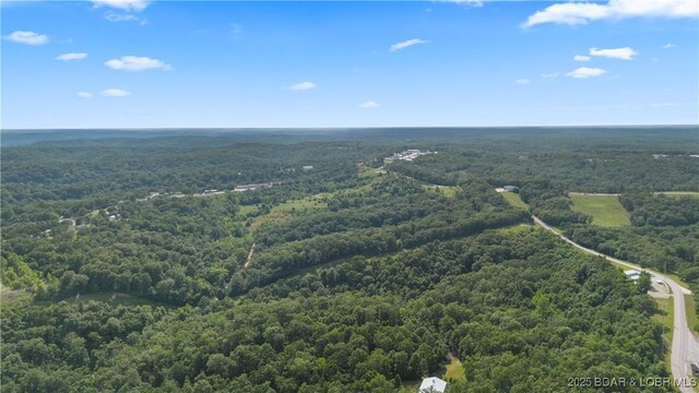 Twin Rivers Pt, Camdenton, MO 65020 - photo 32