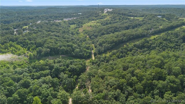 Twin Rivers Pt, Camdenton, MO 65020 - photo 33