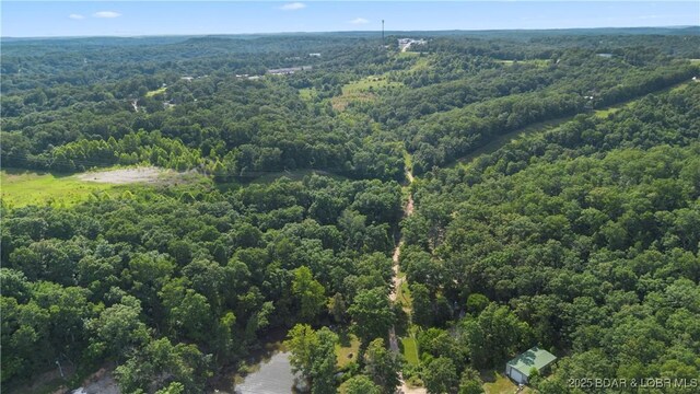 Twin Rivers Pt, Camdenton, MO 65020 - photo 36