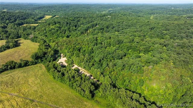 Witt Rd, Eldon, MO 65026