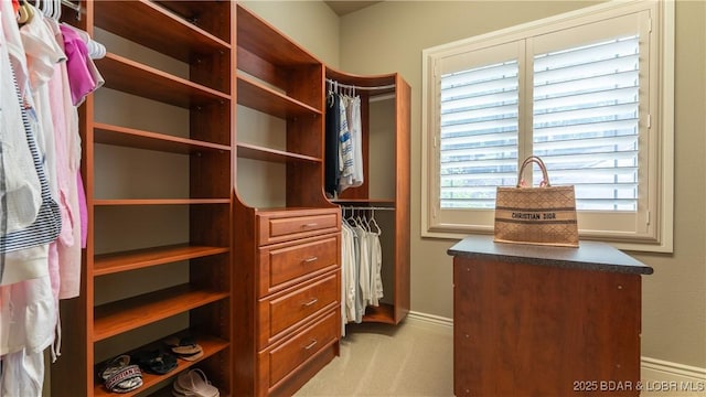 1028 Brookhaven Ln, Sunrise Beach, MO 65079 - photo 19