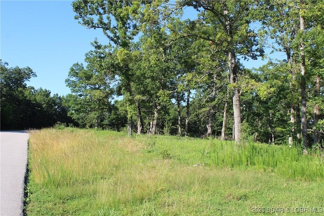 Osage Ave, Laurie, MO 65037 - photo 1