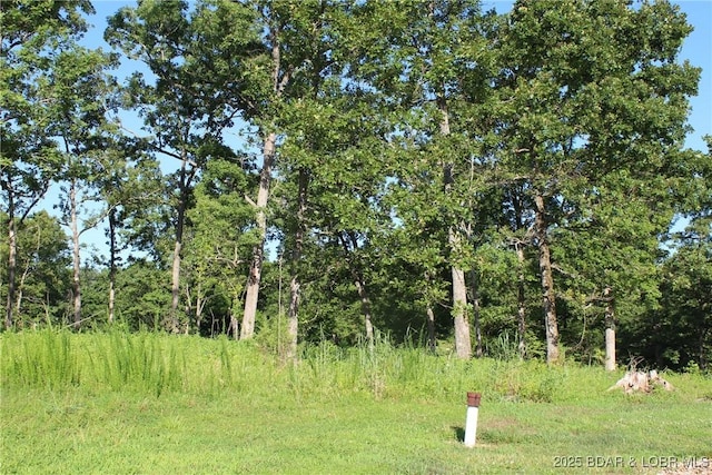 Osage Ave, Laurie, MO 65037 - photo 2