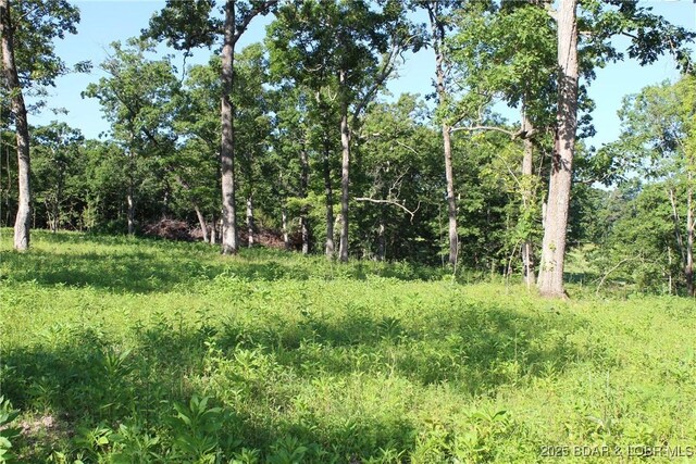 Osage Ave, Laurie, MO 65037 - photo 3
