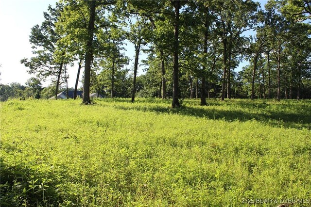 Osage Ave, Laurie, MO 65037 - photo 4
