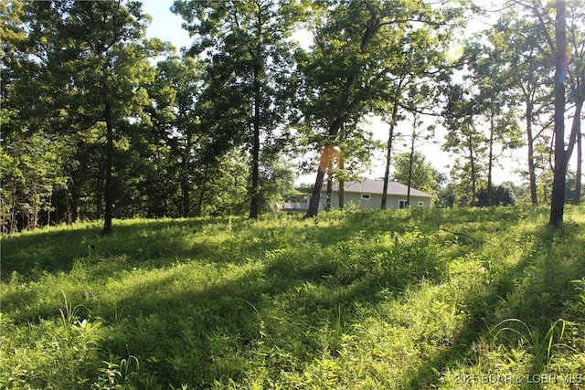 Osage Ave, Laurie, MO 65037 - photo 6