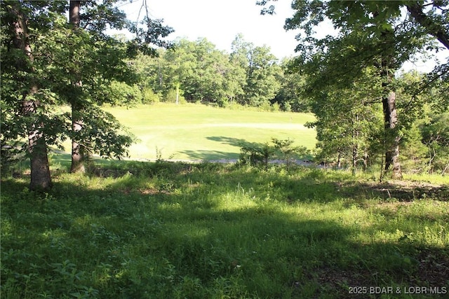 Osage Ave, Laurie, MO 65037 - photo 7