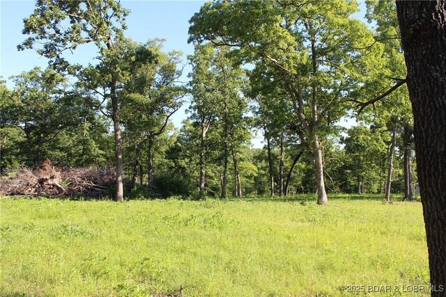 Osage Ave, Laurie, MO 65037 - photo 8