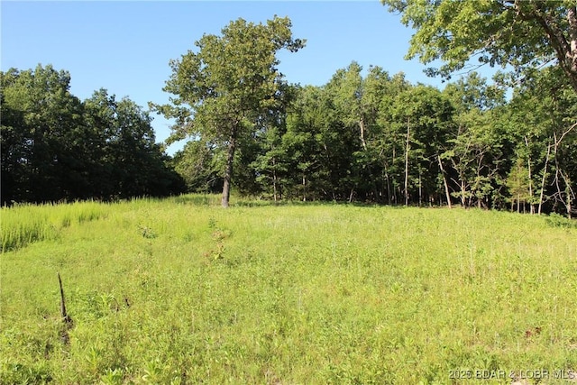 Osage Ave, Laurie, MO 65037 - photo 9