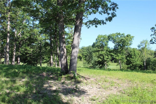 Osage Ave, Laurie, MO 65037 - photo 10