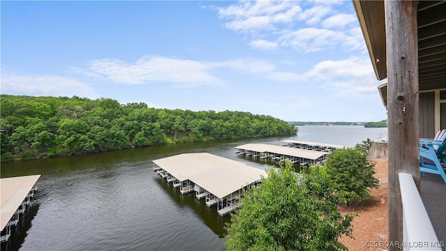 611 Lazy Days Rd Unit S5, Osage Beach, MO 65065 - photo 1