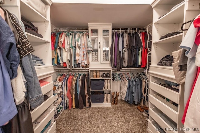 278 Panoramic Dr, Camdenton, MO 65020 - spacious closet featuring carpet