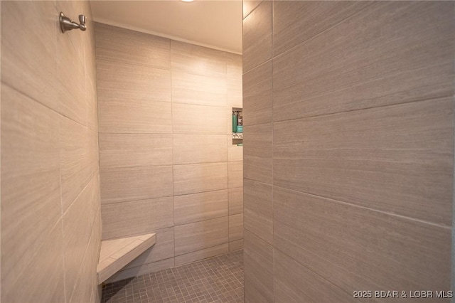 278 Panoramic Dr, Camdenton, MO 65020 - full bath with a tile shower