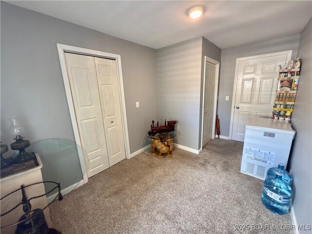 435 Main St, Newburg, MO 65550 - bedroom with carpet floors and a closet