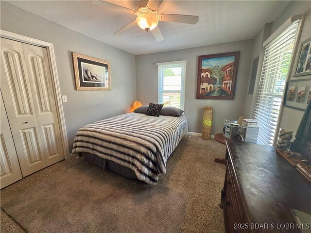 435 Main St, Newburg, MO 65550 - bedroom with carpet, a closet, and ceiling fan