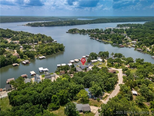 8 Slippery Elm Dr, Sunrise Beach, MO 65079 - photo 45