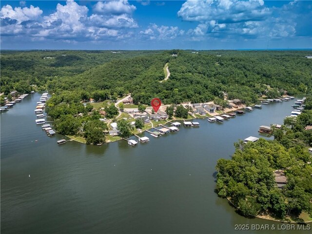 8 Slippery Elm Dr, Sunrise Beach, MO 65079 - photo 47