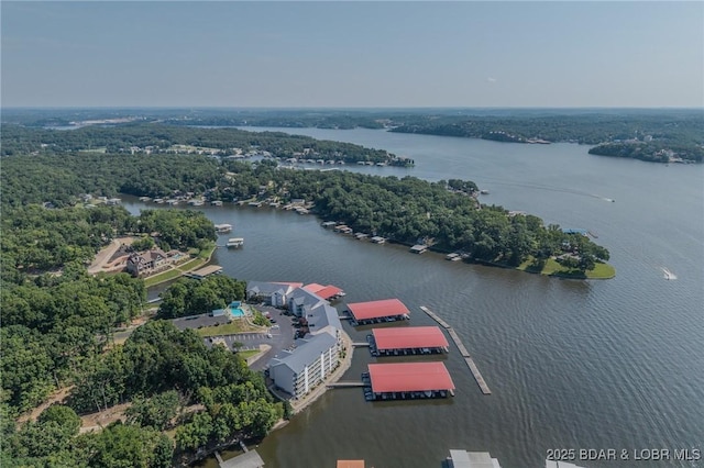 194 Sac Rd Unit D-3, Sunrise Beach, MO 65079 - photo 44