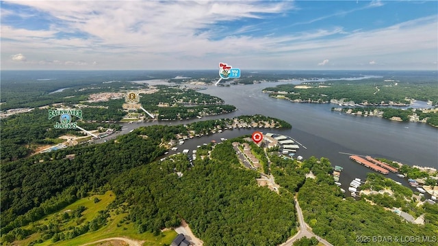 4499 Ski Dr Unit 346, Osage Beach, MO 65065 - aerial view of a large body of water and a forest