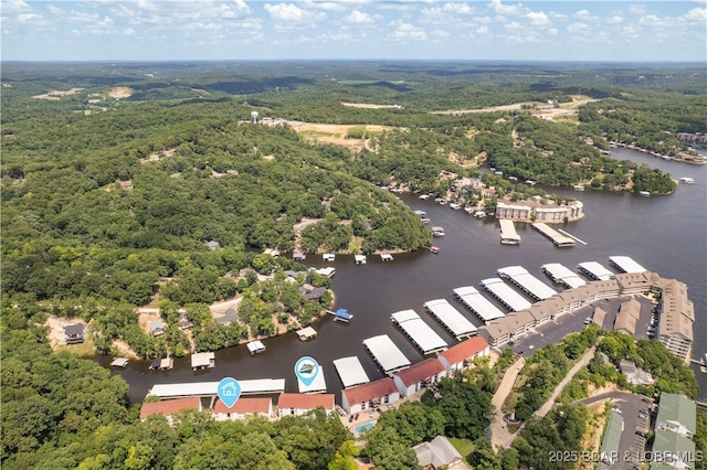 40 Lighthouse Rd Unit 2-301, Lake Ozark, MO 65049 - bird's eye view of a forest and a nearby body of water