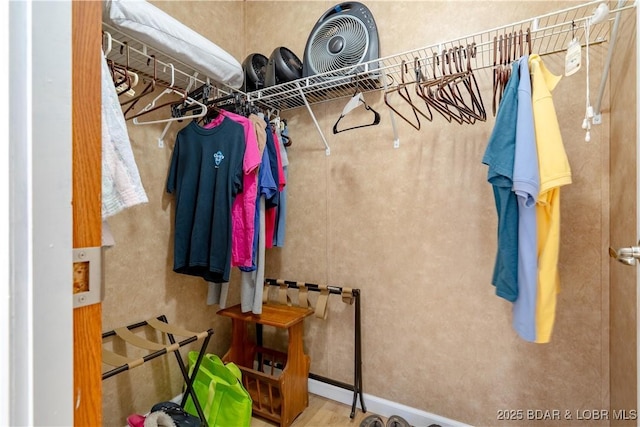 965 Four Waters Dr, Sunrise Beach, MO 65079 - view of spacious closet