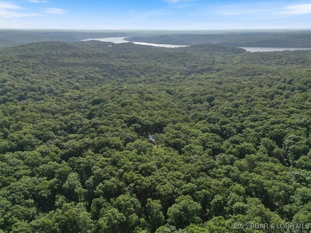 32655 Challenge Dr, Lincoln, MO 65338 - drone / aerial view of a forest
