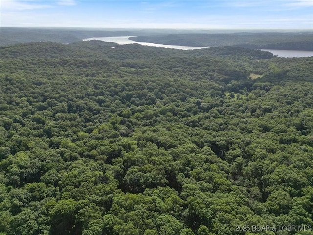 32655 Challenge Dr, Lincoln, MO 65338 - bird's eye view of a forest and a large body of water